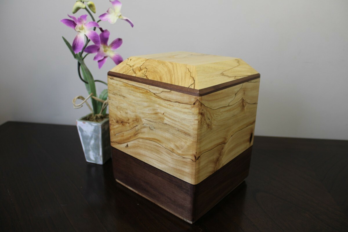 Urne orme coti et noyer noir Urne orme coti et noyer noir